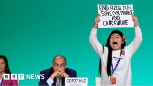A 12-year-old climate activist storms COP28 stage