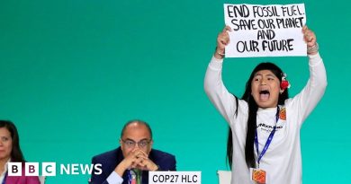 A 12-year-old climate activist storms COP28 stage