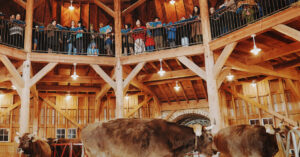 A Special Christmas Briefing