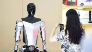 A hedged options bet on Tesla's run to continue into January