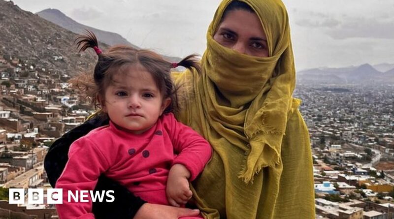 Afghanistan: 'Tea is sometimes all I have to give my hungry baby'