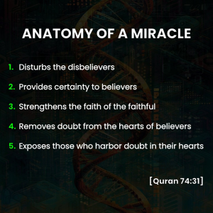 Anatomy of a Miracle (Part II)