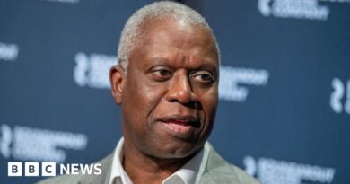 Andre Braugher: Brooklyn Nine-Nine's Captain Raymond Holt dies aged 61