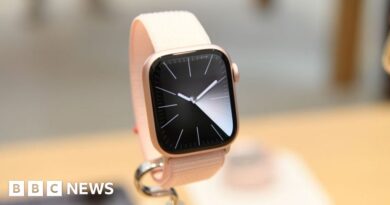 Apple halts some Watch sales in the US