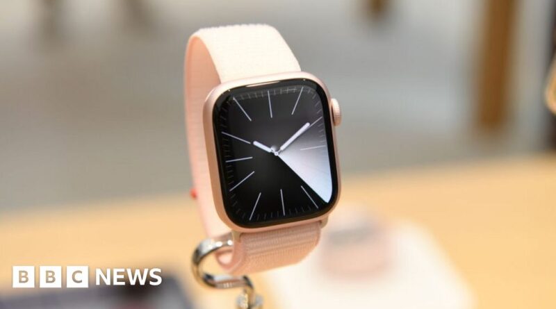 Apple halts some Watch sales in the US