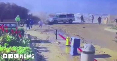 Beachgoers swept away as huge wave crashes over wall