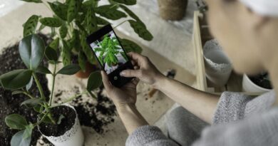 Become a plant expert with this iOS app for $15