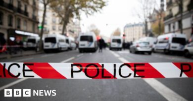 Bodies of five people found in flat in Paris suburb of Meaux