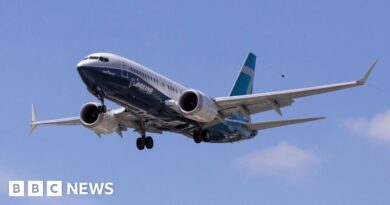 Boeing urges 737 Max inspections for possible loose bolt