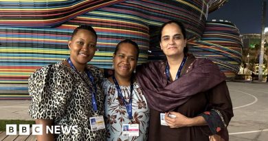 COP28: Climate mums make themselves heard in halls of power