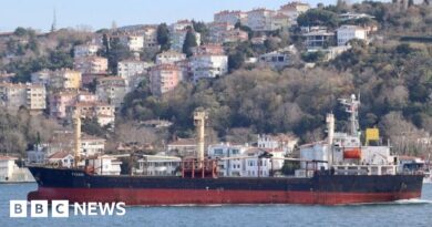 Cargo ship damaged by Russian mine in Black Sea, Ukraine says