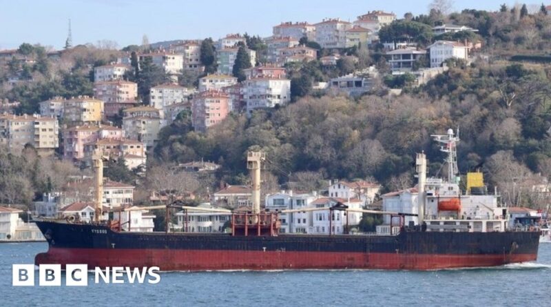 Cargo ship damaged by Russian mine in Black Sea, Ukraine says