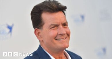 Charlie Sheen attacked by woman at his Malibu home -police