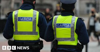 Dublin shooting: One man killed and another seriously injured