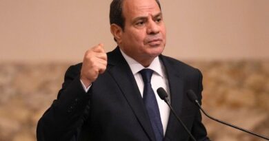 Egypt's Sisi secures third term in widely expected election win