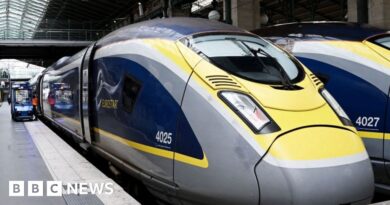 Eurostar trains suspended after 'last minute' strike