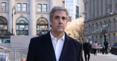 Former Trump lawyer Michael Cohen accidentally cited fake court cases generated by AI