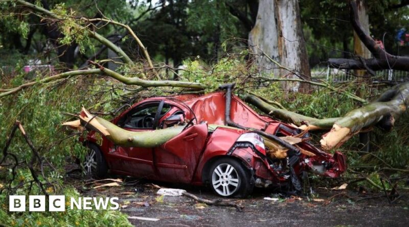 Fourteen killed in Argentina as storm brings 150km/h winds