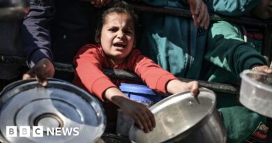 Gaza facing famine if fighting continues, UN says