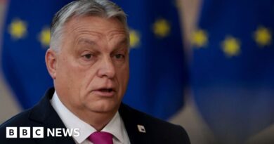 Hungary blocks €50bn of EU funding for Ukraine