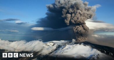 Iceland's Reykjanes eruption won't cause disruption of 2010 volcano