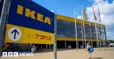 Ikea warns of product delays after Red Sea attacks