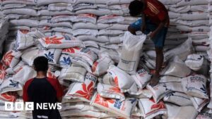 Indonesia asks military to help farmers plant rice