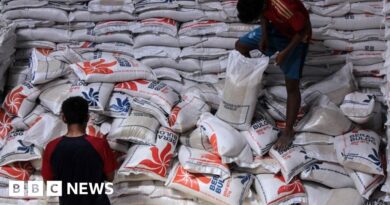 Indonesia asks military to help farmers plant rice