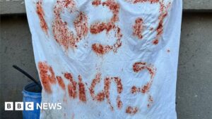 Israel Gaza: Hostages shot by IDF put out 'SOS' sign written with leftover food