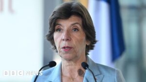 Israel - Hamas war: France calls for 'immediate and durable' Gaza truce