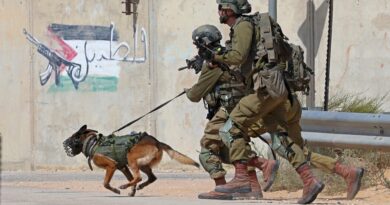 Israel Relies on Combat Dogs in Gaza Strip