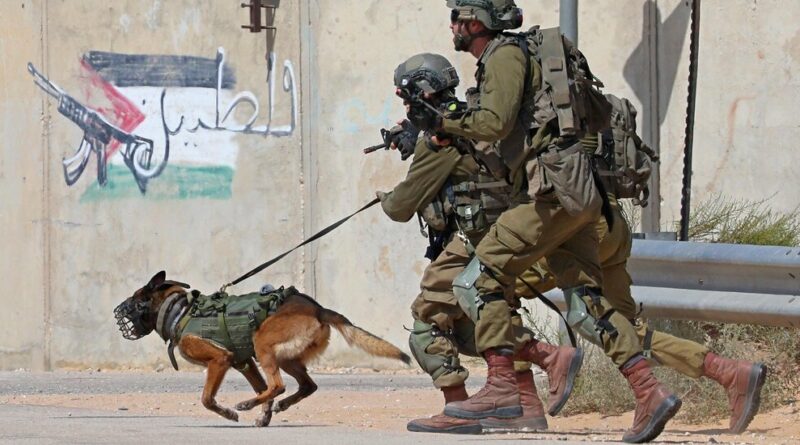 Israel Relies on Combat Dogs in Gaza Strip