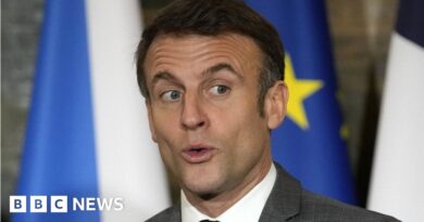 Macron defends tougher immigration reform as 'shield'