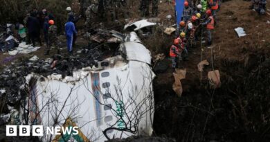 Nepal plane crash caused by pilots mistakenly cutting power, says report