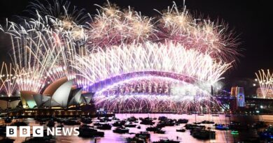 New Year celebrations: How the world is welcoming 2024