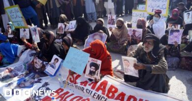 Pakistan: Hundreds arrested, tear gas fired as female-led protests reach capital