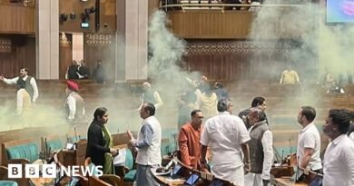 Parliament breach: India home ministry opens investigation as opposition protests