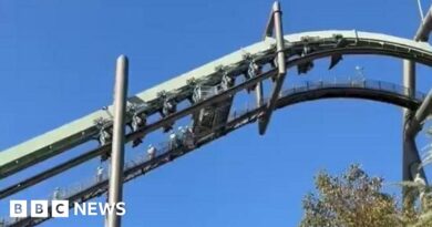 People left dangling as rollercoaster stops mid-ride