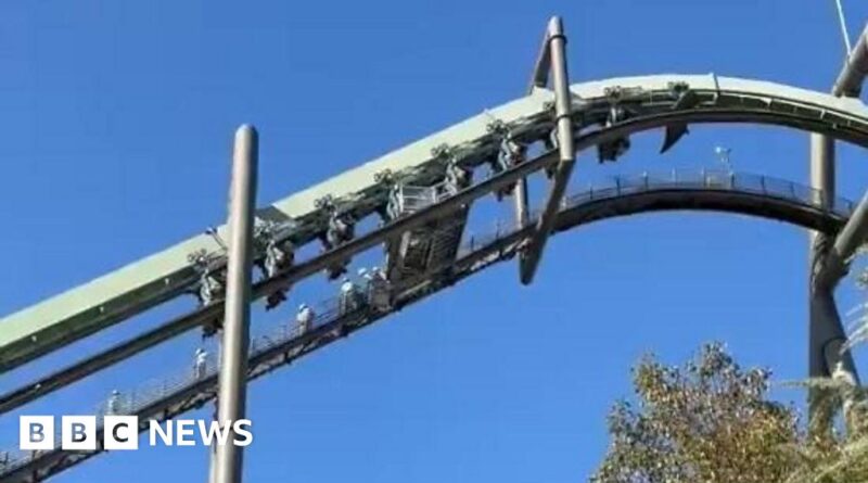 People left dangling as rollercoaster stops mid-ride