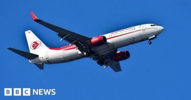 Plane stowaway in serious condition in France