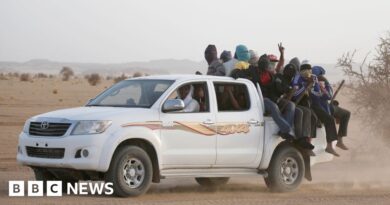 Sahara migrant smuggling: Double-edged sword of overturning Niger's ban