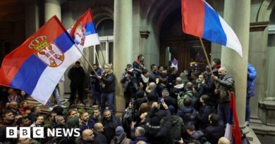 Serbia protests: Anti-government demonstrators try to storm Belgrade City Hall