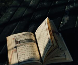 Sunni online classroom