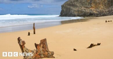 Teenage boy killed in Australia shark attack