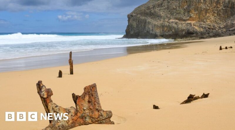 Teenage boy killed in Australia shark attack