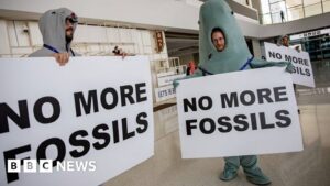 Three takeaways from the COP28 deal