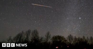 Timelapse shows Geminid meteor shower at its peak