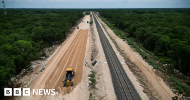 Tren Maya: Mexico's Yucatán mega train - world beating or environmental disaster?