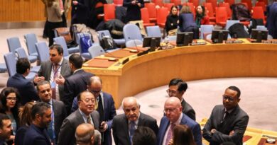 UN Security Council due to vote on delayed Gaza resolution