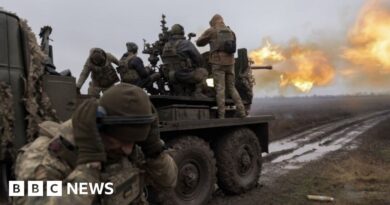 Ukraine war: Male citizens living abroad to be asked to join army